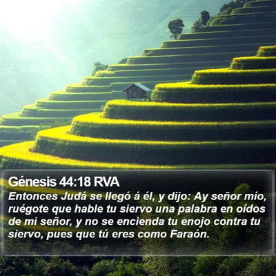 Génesis 44:18 RVA Bible Verse Image