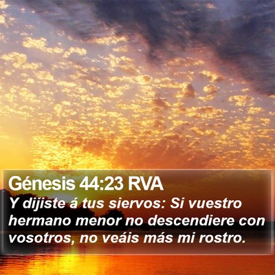 Génesis 44:23 RVA Bible Verse Image