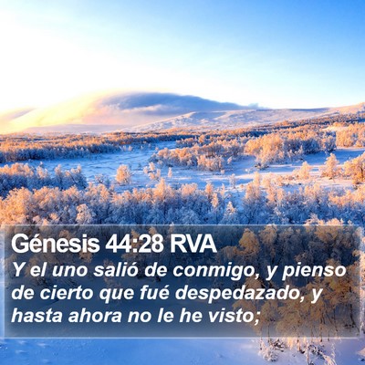 Génesis 44:28 RVA Bible Verse Image