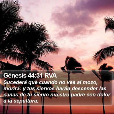 Génesis 44:31 RVA Bible Verse Image