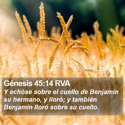 Génesis 45:14 RVA Bible Verse Image
