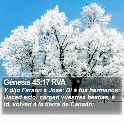 Génesis 45:17 RVA Bible Verse Image