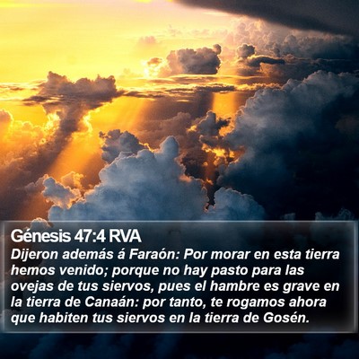 Génesis 47:4 RVA Bible Verse Image