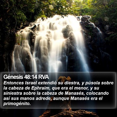 Génesis 48:14 RVA Bible Verse Image