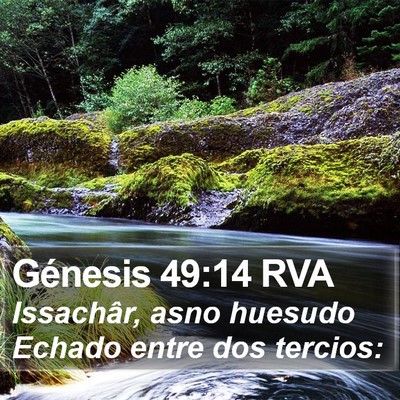 Génesis 49:14 RVA Bible Verse Image