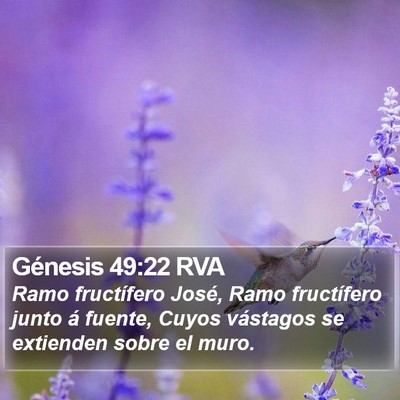 Génesis 49:22 RVA Bible Verse Image