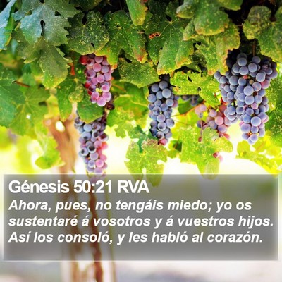 Génesis 50:21 RVA Bible Verse Image