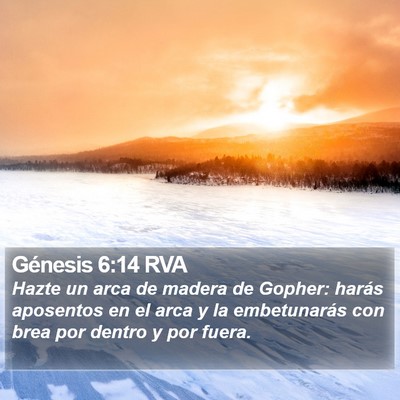 Génesis 6:14 RVA Bible Verse Image