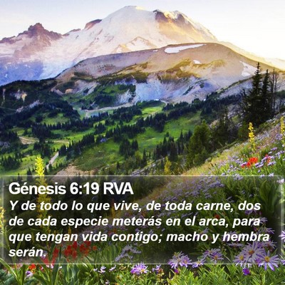 Génesis 6:19 RVA Bible Verse Image
