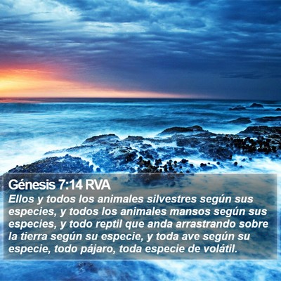 Génesis 7:14 RVA Bible Verse Image