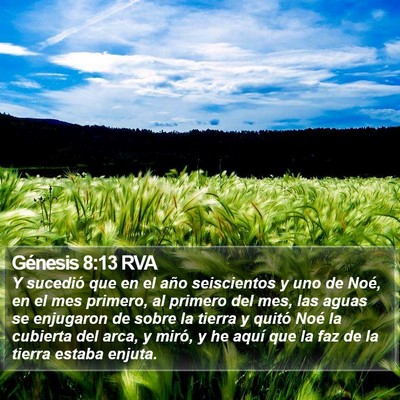 Génesis 8:13 RVA Bible Verse Image