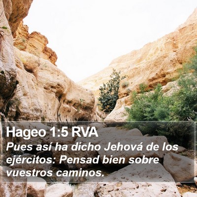 Hageo 1:5 RVA Bible Verse Image