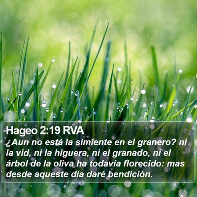 Hageo 2:19 RVA Bible Verse Image