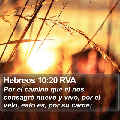 Hebreos 10:20 RVA Bible Verse Image