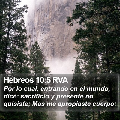 Hebreos 10:5 RVA Bible Verse Image
