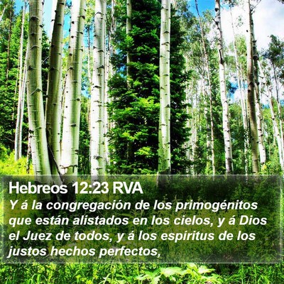 Hebreos 12:23 RVA Bible Verse Image