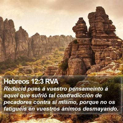 Hebreos 12:3 RVA Bible Verse Image