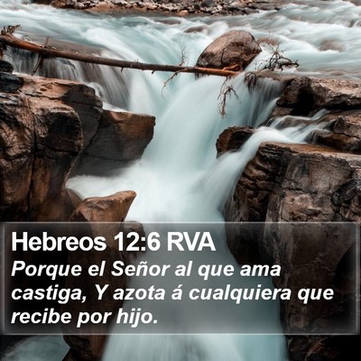 Hebreos 12:6 RVA Bible Verse Image