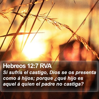 Hebreos 12:7 RVA Bible Verse Image