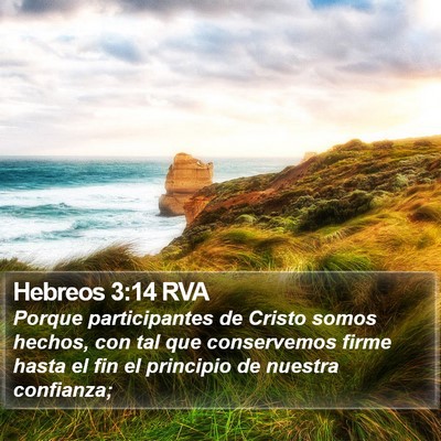 Hebreos 3:14 RVA Bible Verse Image