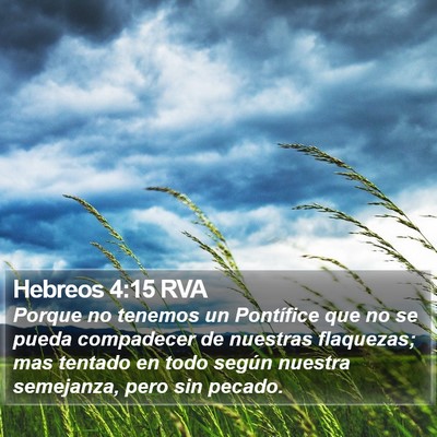 Hebreos 4:15 RVA Bible Verse Image