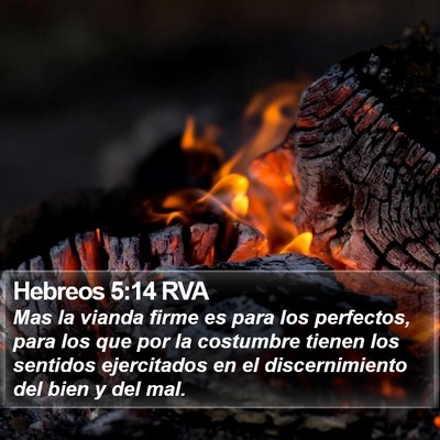 Hebreos 5:14 RVA Bible Verse Image