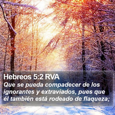 Hebreos 5:2 RVA Bible Verse Image