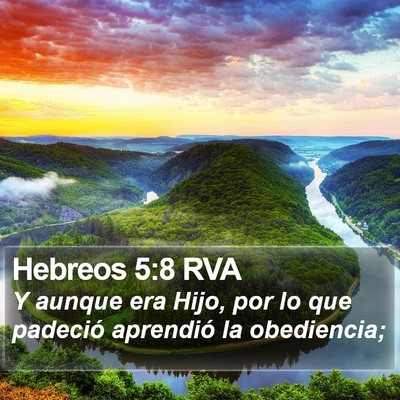 Hebreos 5:8 RVA Bible Verse Image