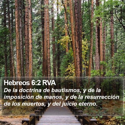Hebreos 6:2 RVA Bible Verse Image