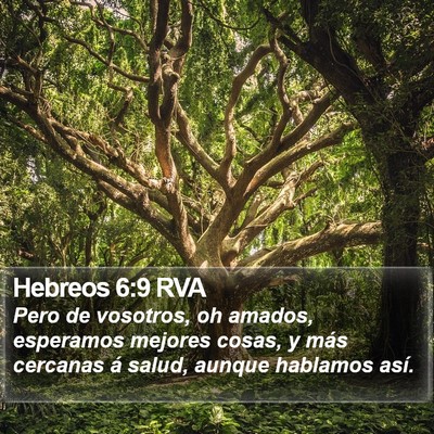 Hebreos 6:9 RVA Bible Verse Image
