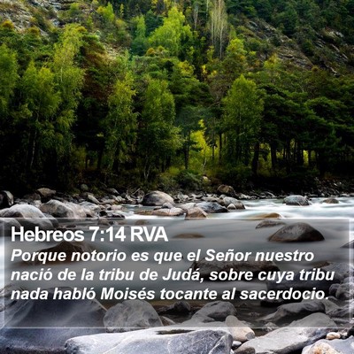 Hebreos 7:14 RVA Bible Verse Image