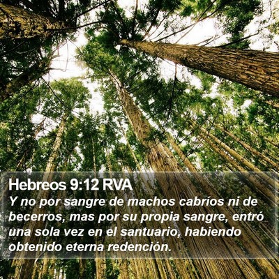 Hebreos 9:12 RVA Bible Verse Image