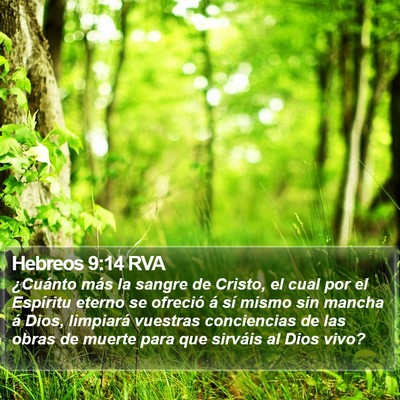 Hebreos 9:14 RVA Bible Verse Image