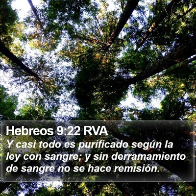 Hebreos 9:22 RVA Bible Verse Image