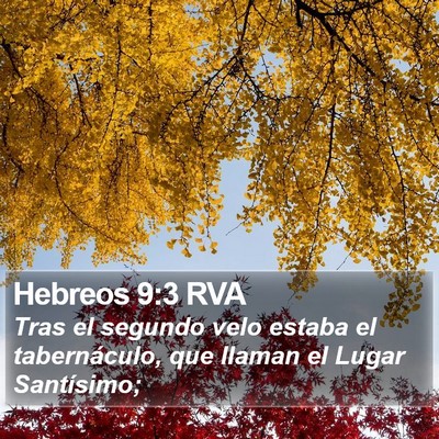 Hebreos 9:3 RVA Bible Verse Image