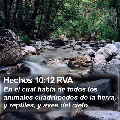 Hechos 10:12 RVA Bible Verse Image