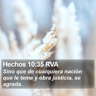 Hechos 10:35 RVA Bible Verse Image