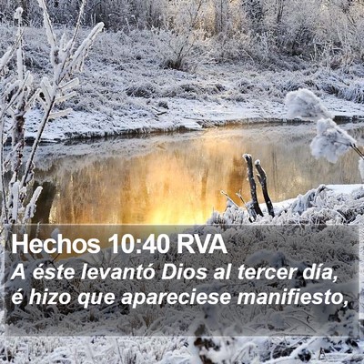 Hechos 10:40 RVA Bible Verse Image