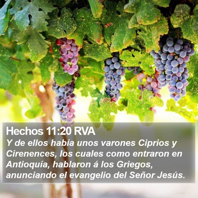 Hechos 11:20 RVA Bible Verse Image
