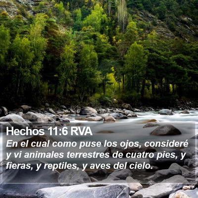 Hechos 11:6 RVA Bible Verse Image