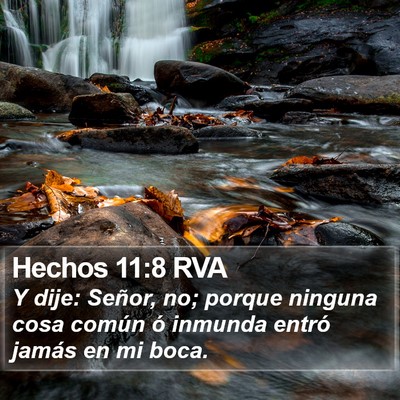 Hechos 11:8 RVA Bible Verse Image