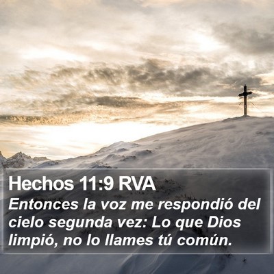 Hechos 11:9 RVA Bible Verse Image