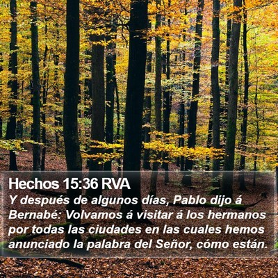 Hechos 15:36 RVA Bible Verse Image
