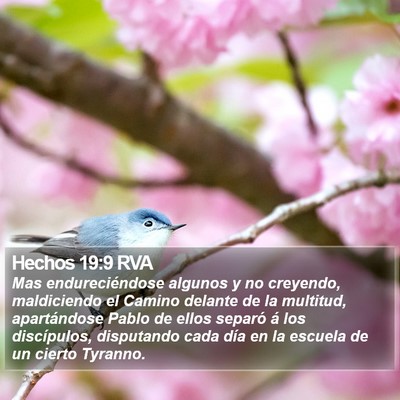 Hechos 19:9 RVA Bible Verse Image