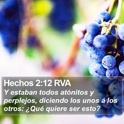 Hechos 2:12 RVA Bible Verse Image