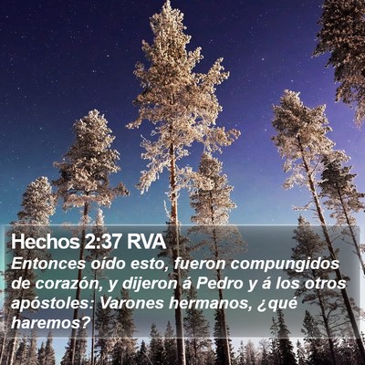 Hechos 2:37 RVA Bible Verse Image