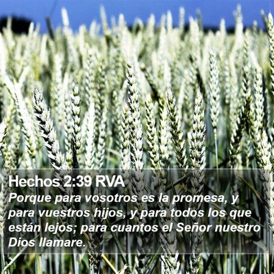 Hechos 2:39 RVA Bible Verse Image