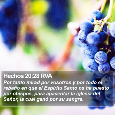 Hechos 20:28 RVA Bible Verse Image