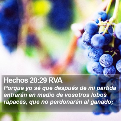 Hechos 20:29 RVA Bible Verse Image