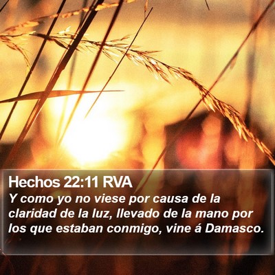 Hechos 22:11 RVA Bible Verse Image